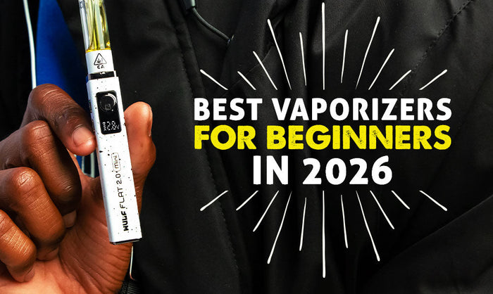 Die besten Vaporizer für Anfänger im Jahr 2026