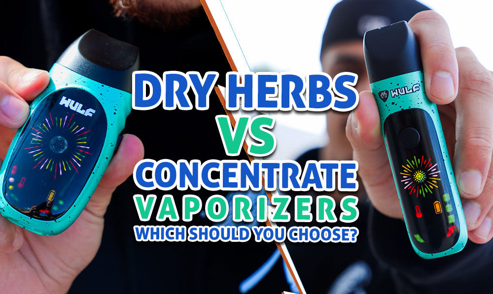 dry herb vs concentrate vaporizer blog banner