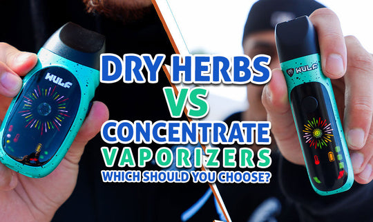 Vaporizer für trockene Kräuter vs. Konzentrate: Welchen sollten Sie wählen? (Leitfaden 2026)