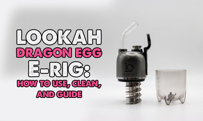 Lookah Dragon Egg E-Rig: Anwendung, Reinigung und Anleitung