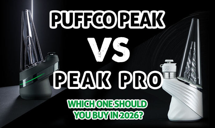 Puffco Peak vs Puffco Peak Pro: Welchen solltest du 2026 kaufen?