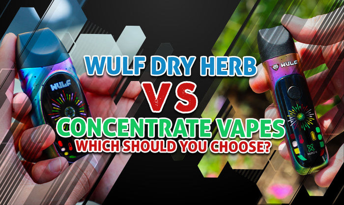 Wulf Dry Herb vs. Konzentrat Vaporizer: Welchen solltest du wählen?