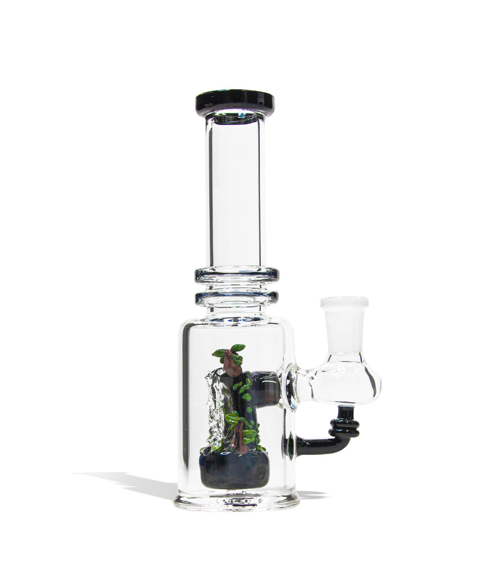 Glass & Silicone